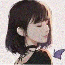 观众 追番小队长 头像